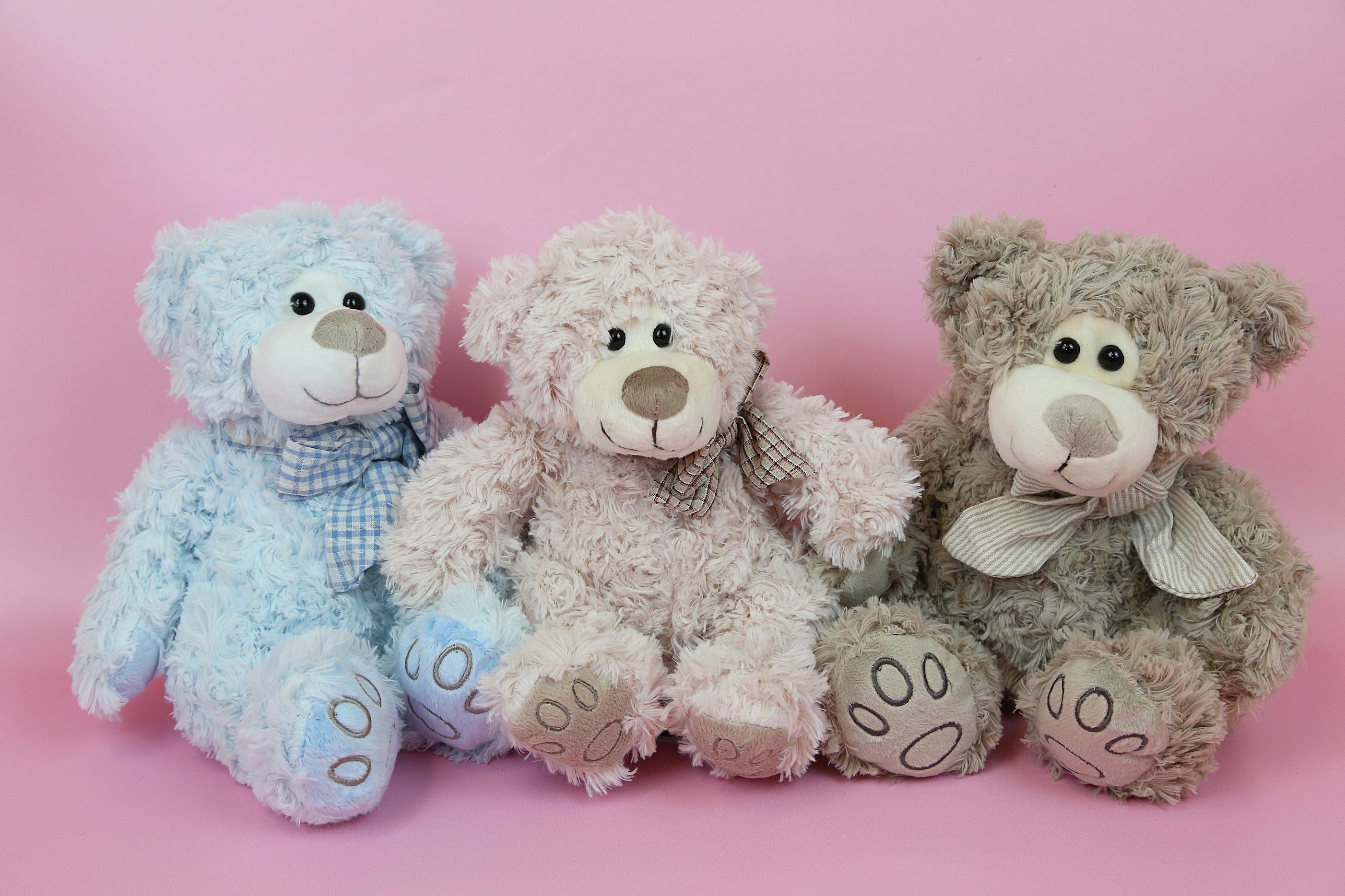 Teddy Bear