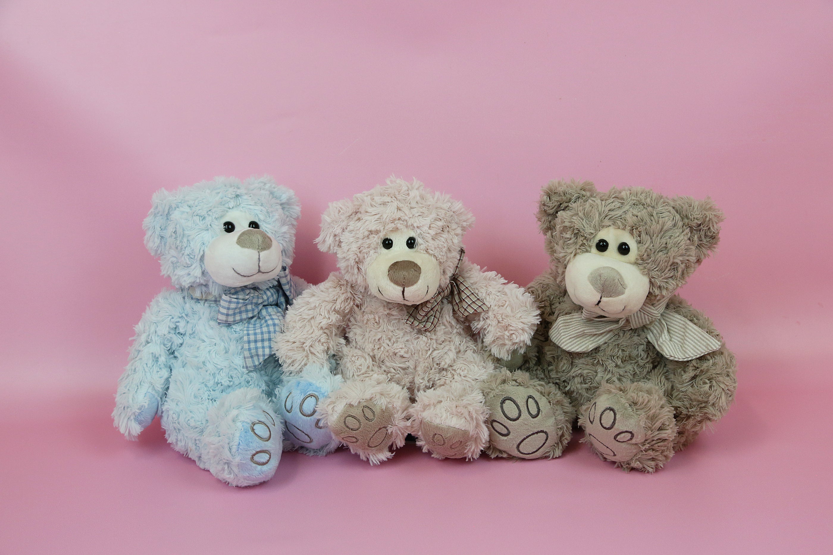 Teddy Bear