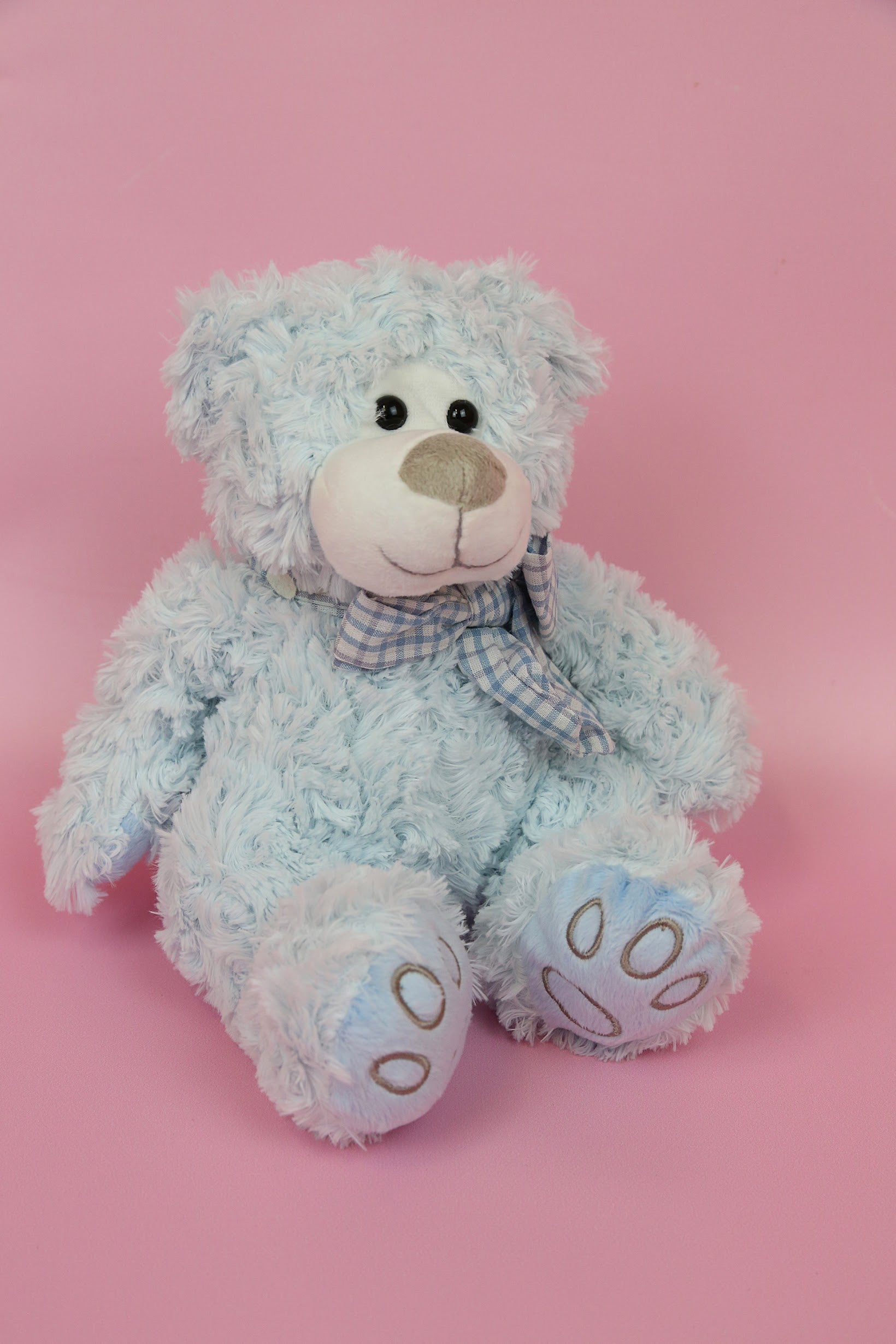 Teddy Bear
