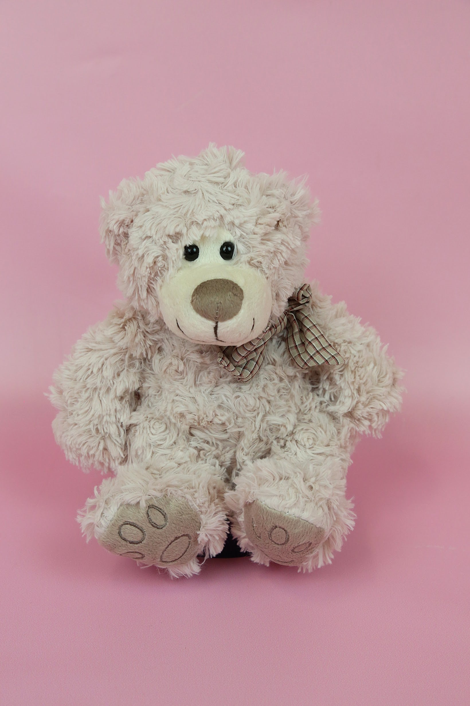 Teddy Bear