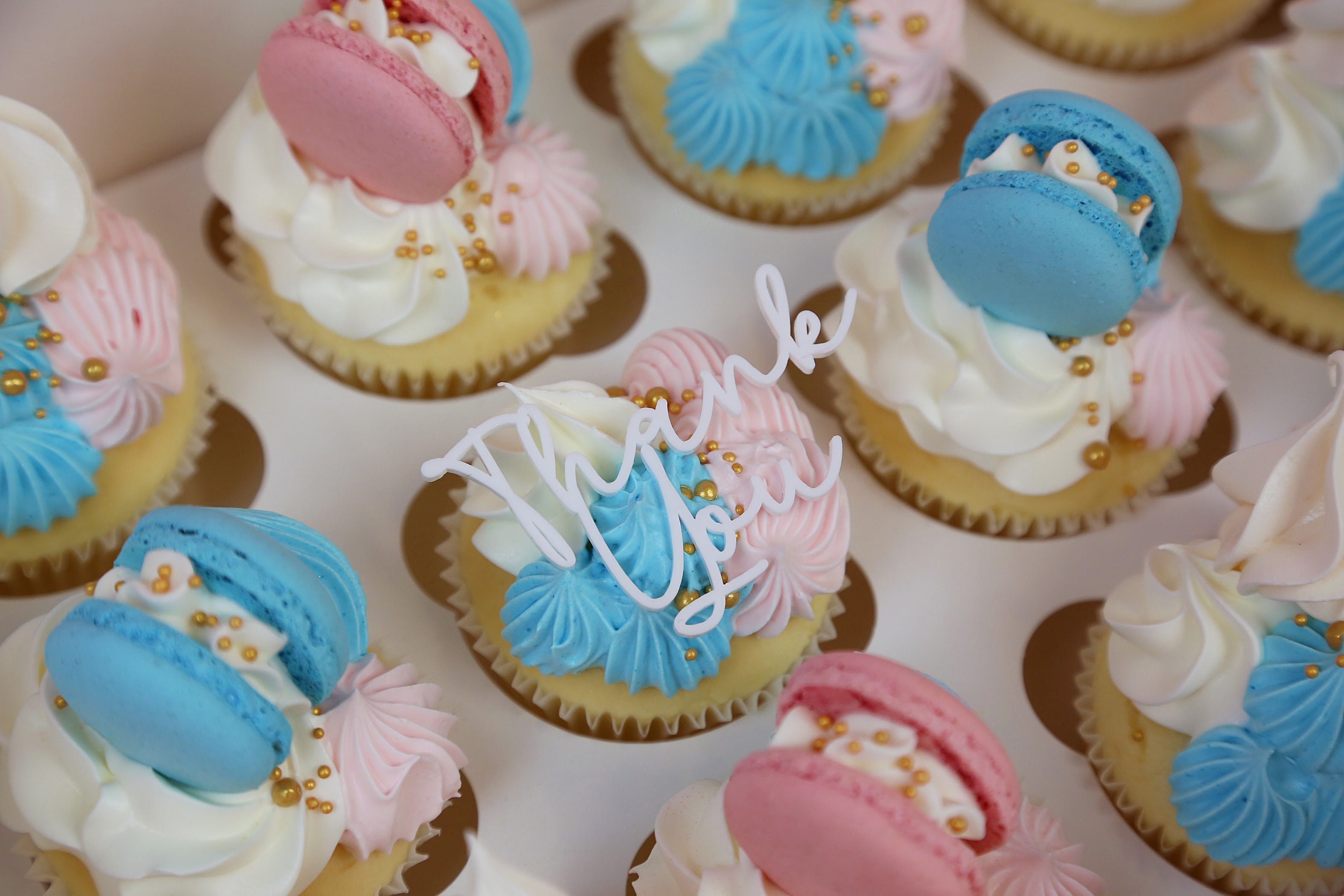 Loaded Cupcakes: Choose your size, colour & topper
