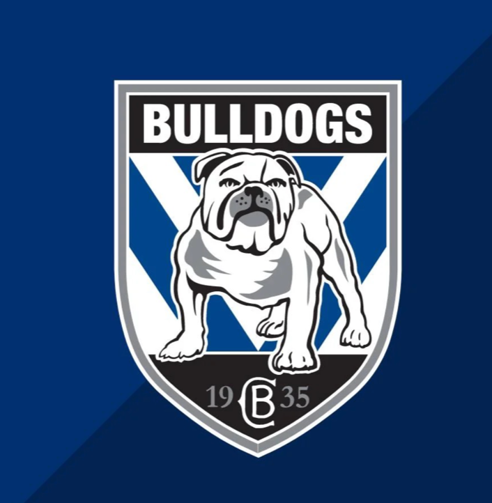 NRL Football Box- Choose Your Team // 6 or 12 pack