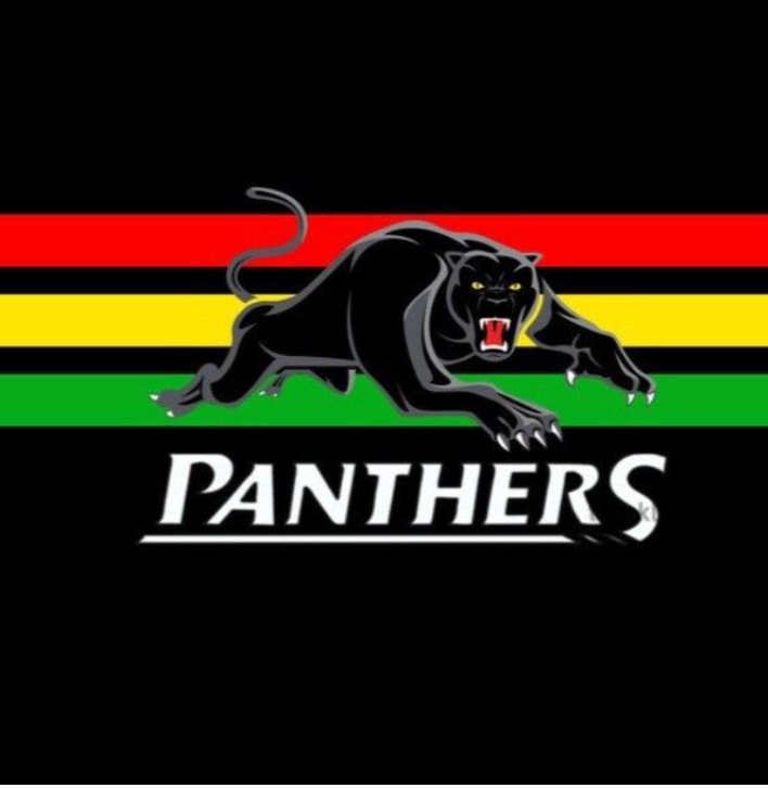 NRL Football Box- Choose Your Team // 6 or 12 pack