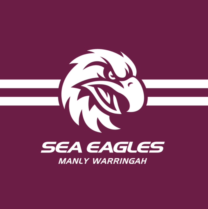 NRL Football Box- Choose Your Team // 6 or 12 pack