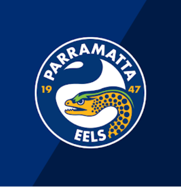 NRL Football Box- Choose Your Team // 6 or 12 pack