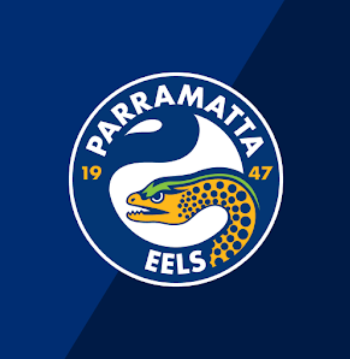 NRL Football Box- Choose Your Team // 6 or 12 pack