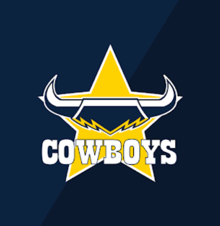 NRL Football Box- Choose Your Team // 6 or 12 pack
