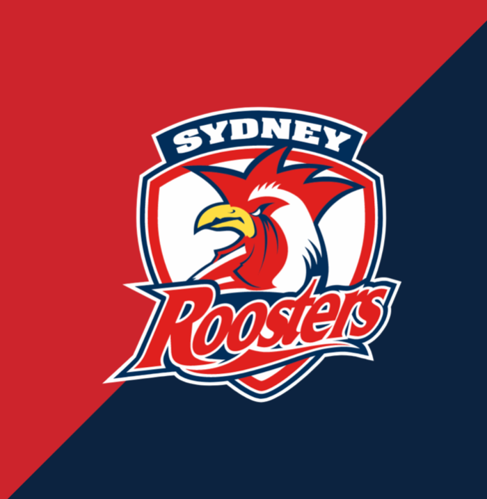 NRL Football Box- Choose Your Team // 6 or 12 pack