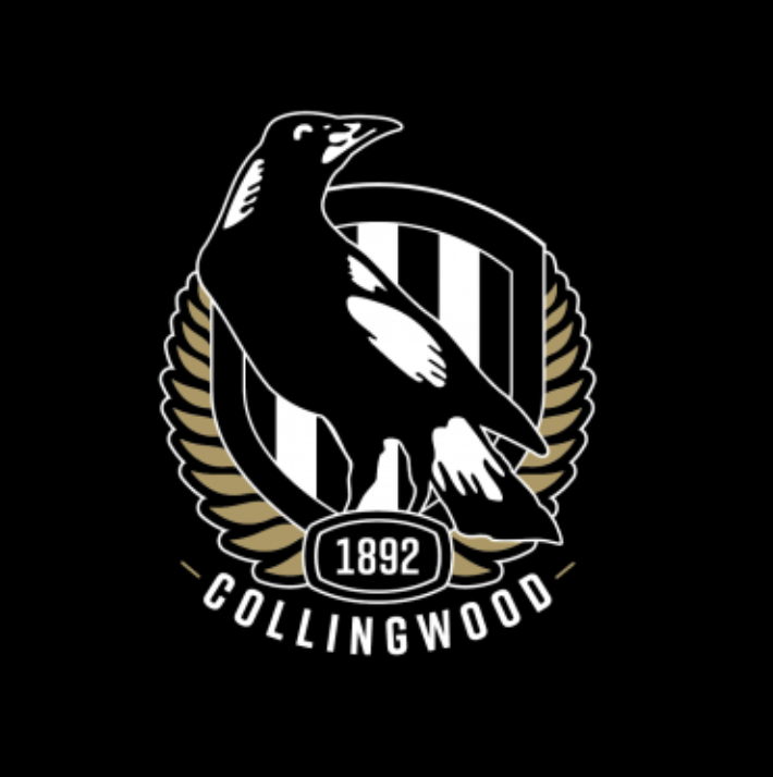 AFL Football Box- Choose Your Team // 6 or 12 pack