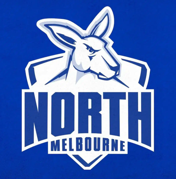 AFL Football Box- Choose Your Team // 6 or 12 pack