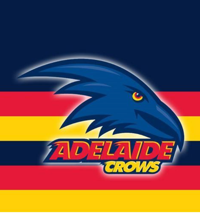 AFL Football Box- Choose Your Team // 6 or 12 pack