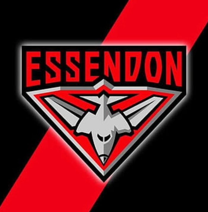 AFL Football Box- Choose Your Team // 6 or 12 pack