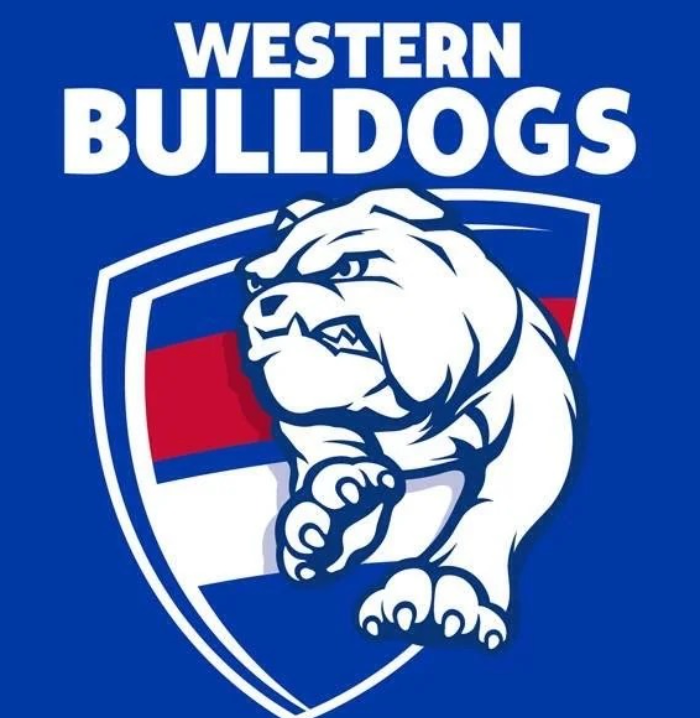 AFL Football Box- Choose Your Team // 6 or 12 pack