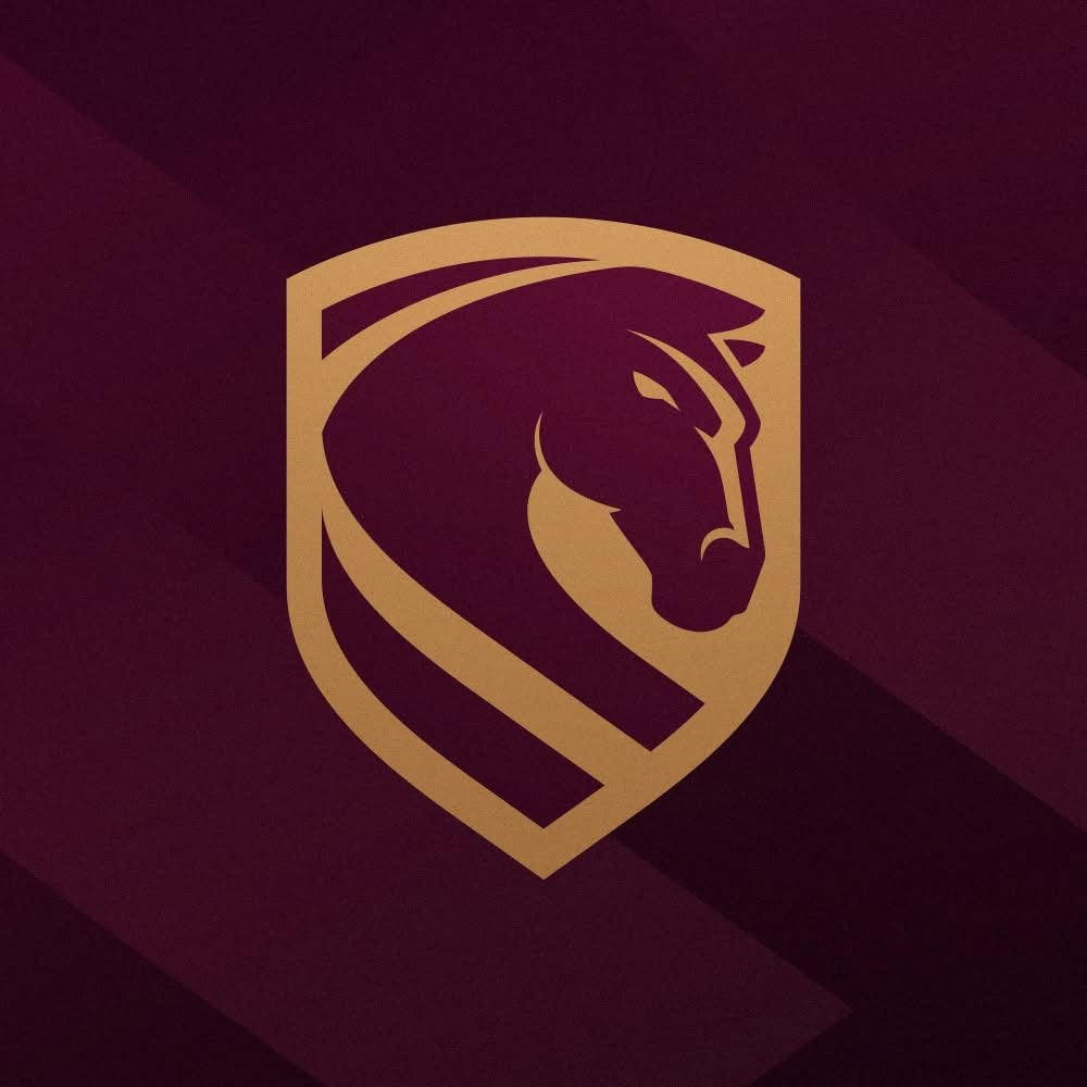 NRL Football Box- Choose Your Team // 6 or 12 pack